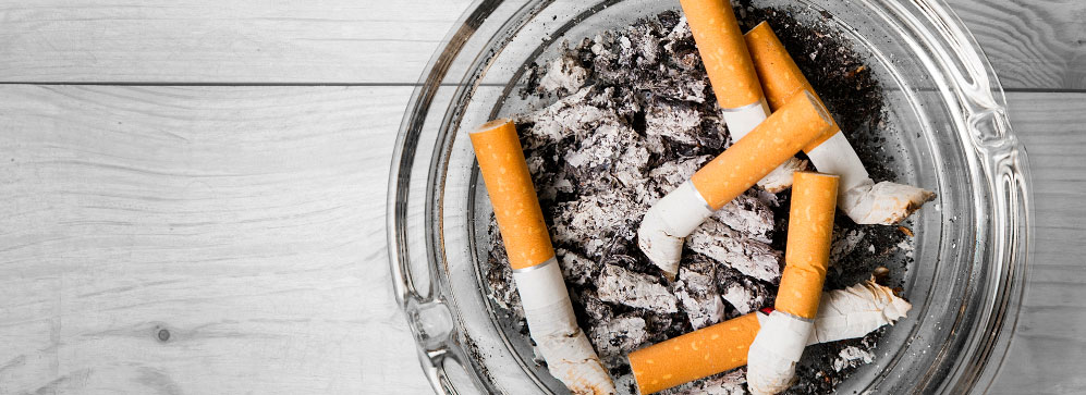 Як позбутися неприємного запаху в квартирі - статті. Клінінгова компанія Клінінг Партнер