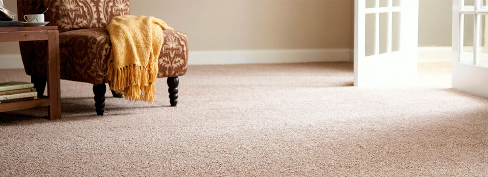 Що потрібно знати про хімчистці килимів - Клінінг Партнер