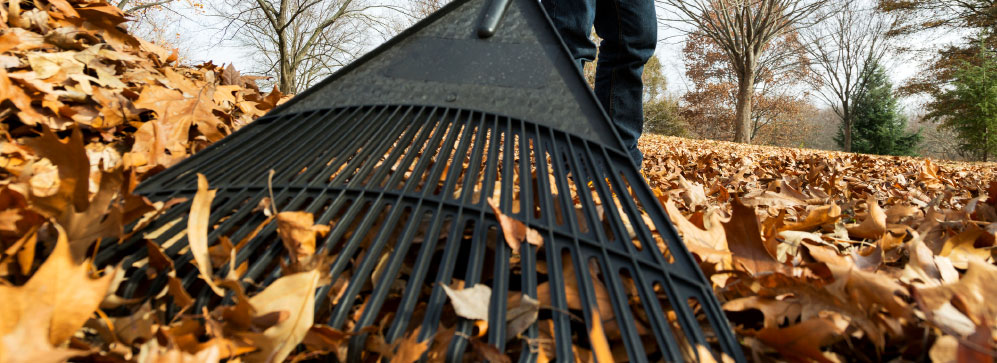 Як проводиться робота з прибирання приватного будинку. Фото, статті